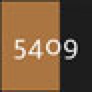 mascot_nussbraun_schwarz_5409