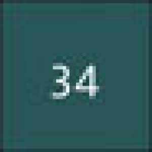 mascot_waldgruen_34
